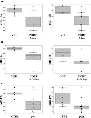 The Long-Term Effects of Early Life Stress on the Modulation of miR-19 Levels